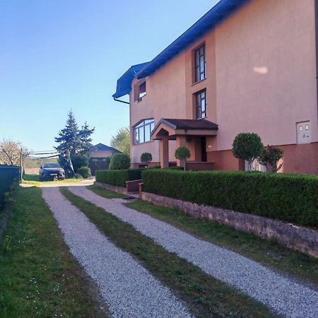 Apartman Kristian Zagreb Airport Velika Gorica Eksteriør billede